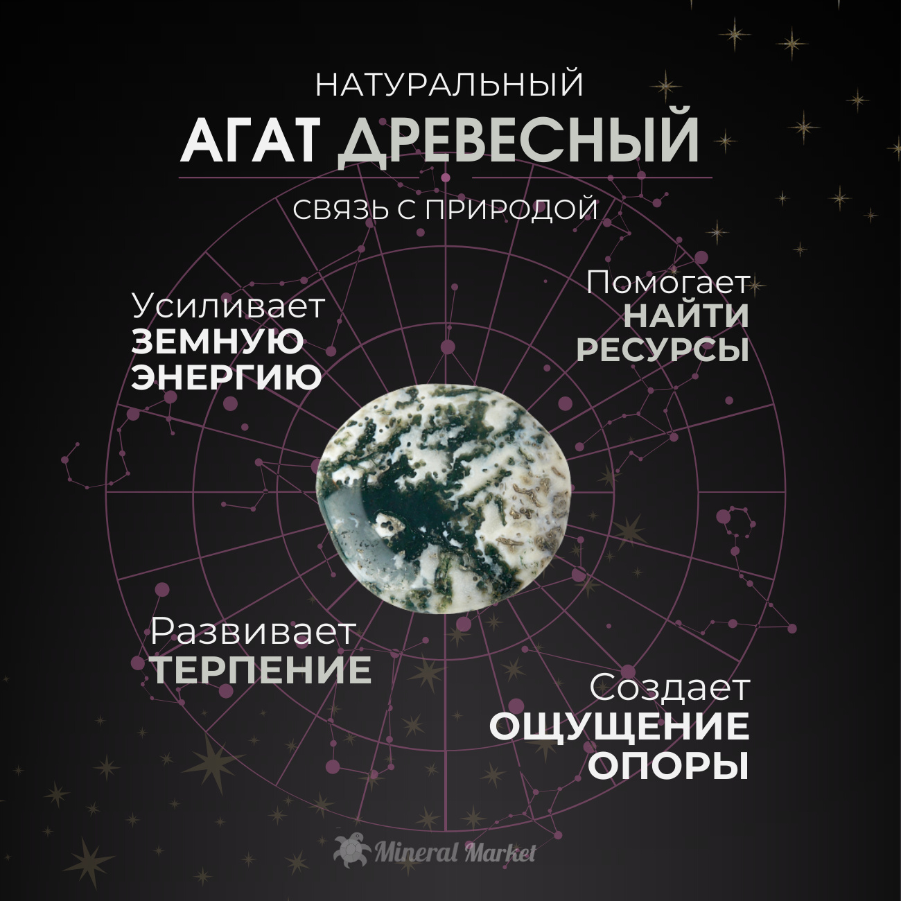 Браслет агат древесный Индия 8 мм 16 см (+3 см) (сталь хир.)