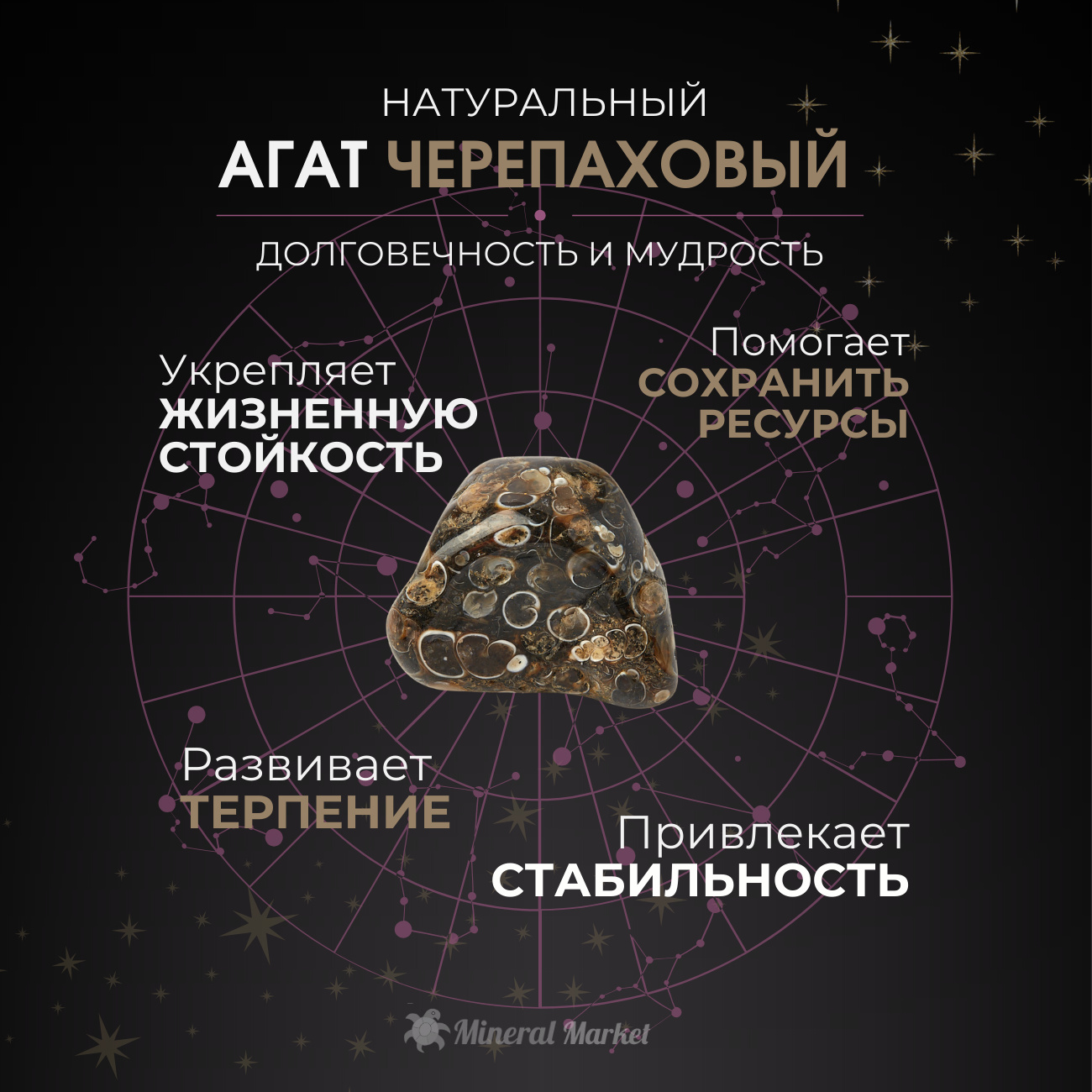 Галтовка агат черепаховый Ботсвана XS (3-4 см) (1 шт)