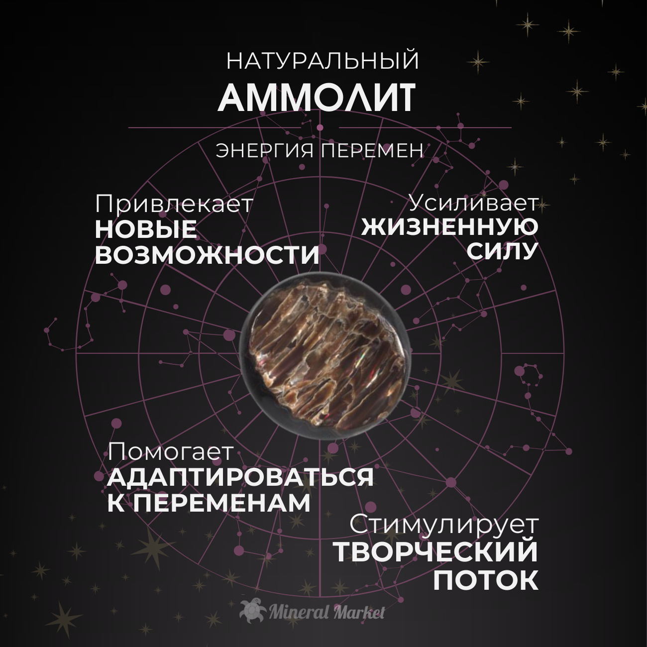 Окаменелость аммолит Канада L (12-16 см)