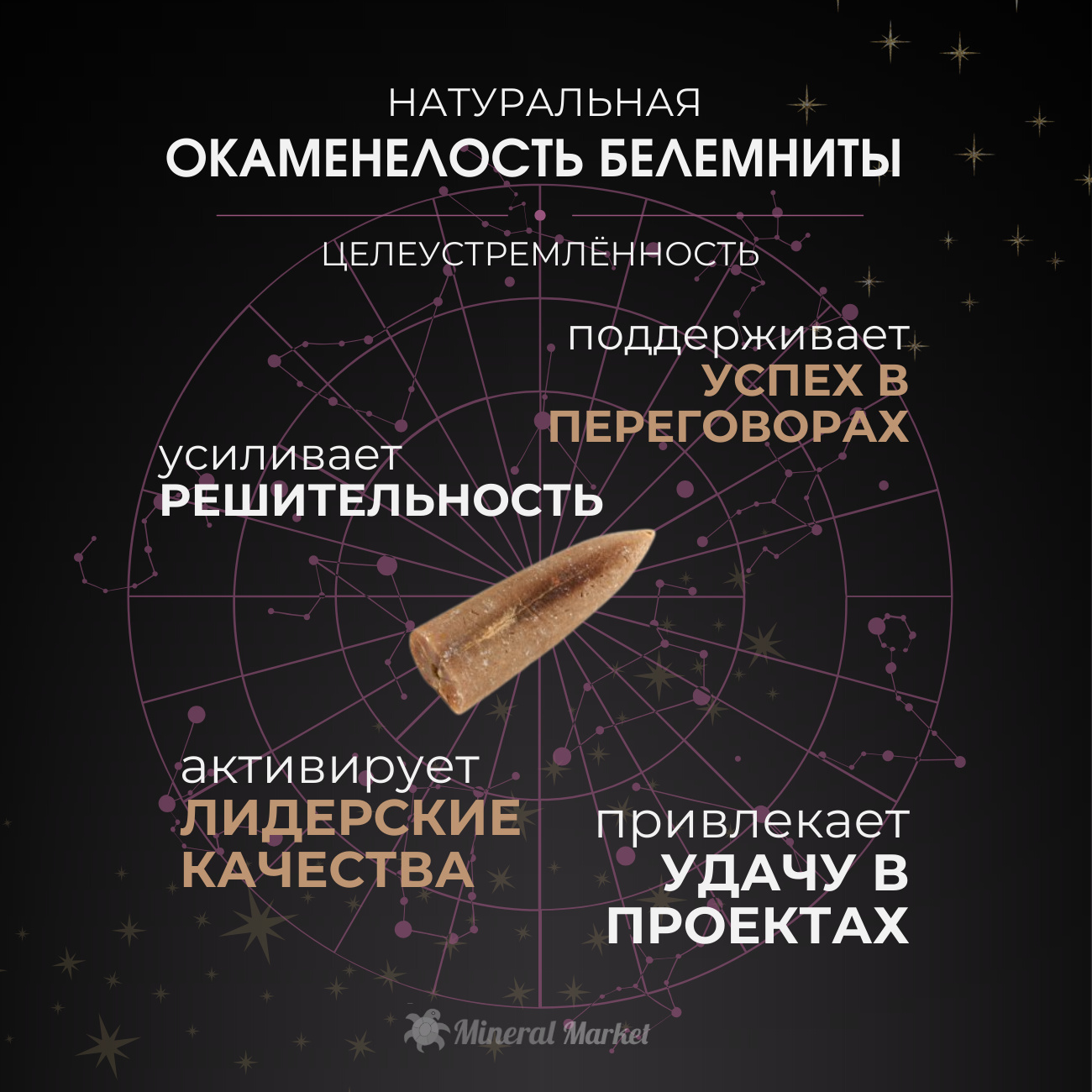 Окаменелость Россия XS (3-4 см)
