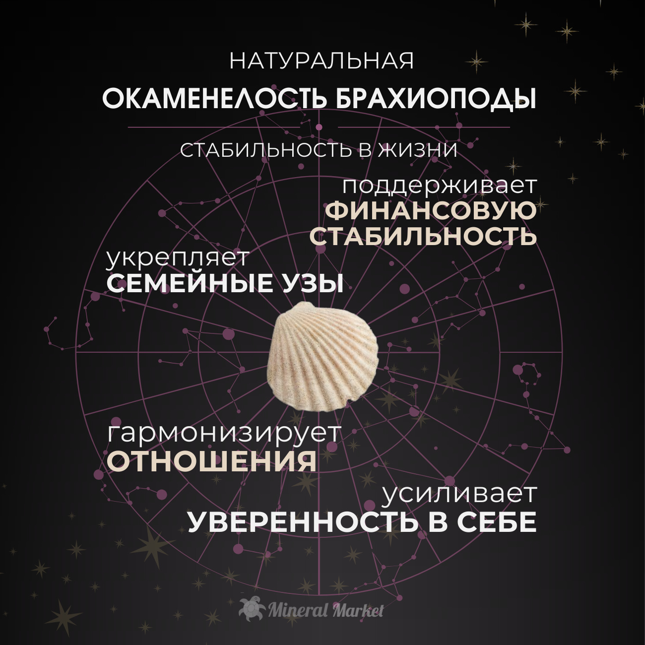 Окаменелость Россия 2-3 см (1 шт)