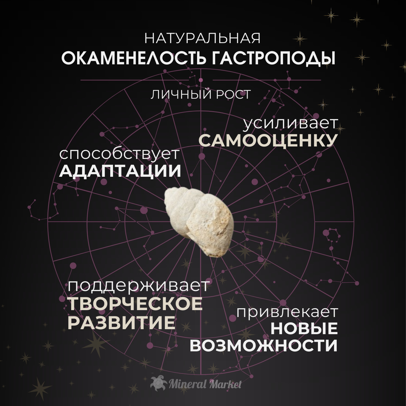 Окаменелость США (1,5-2 см) (1 шт)