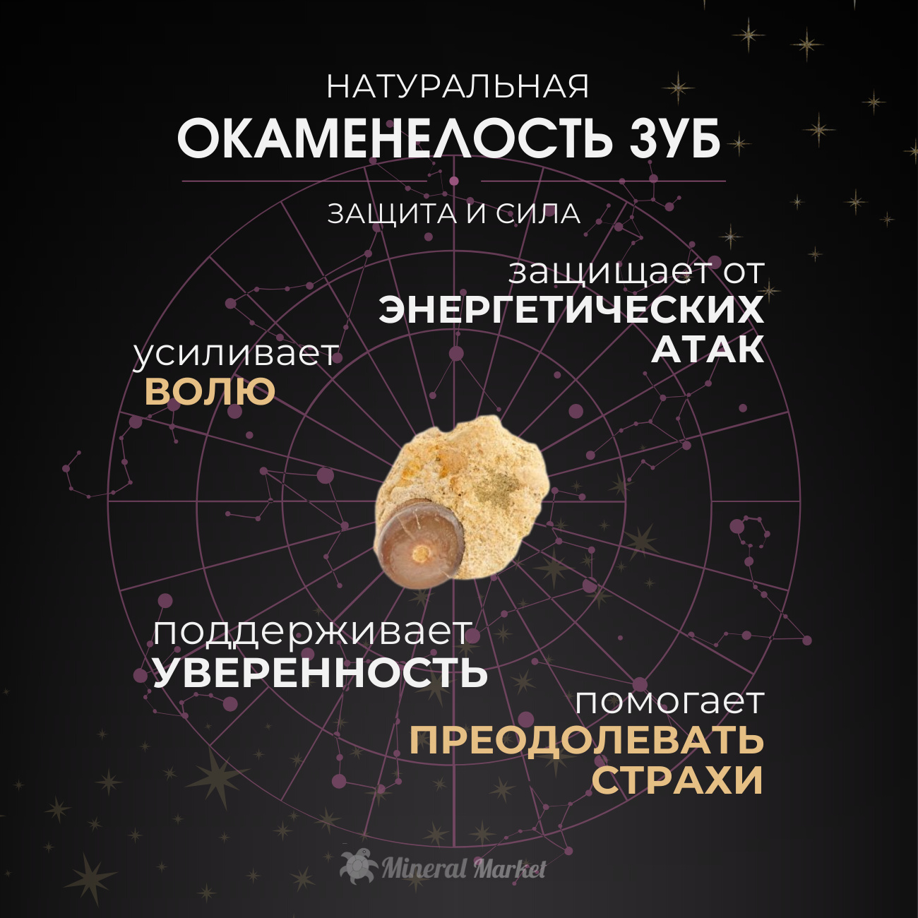 Окаменелость Россия (0,5-1 см) (1 шт)