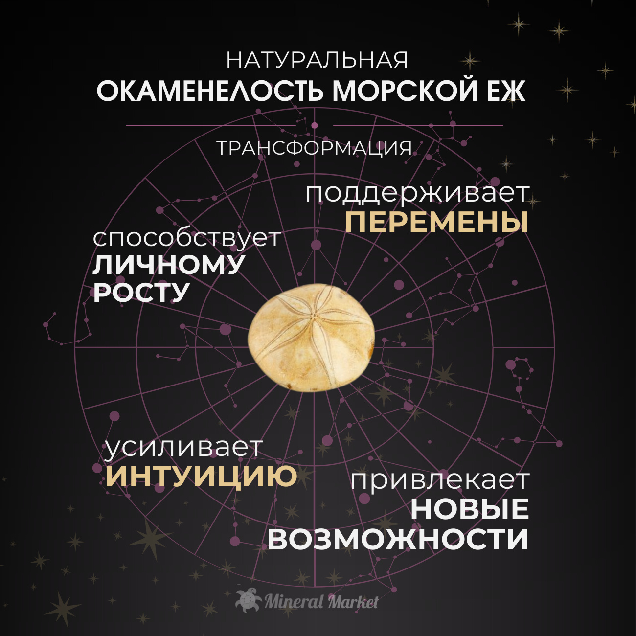 Окаменелость Россия XS (3-4 см)