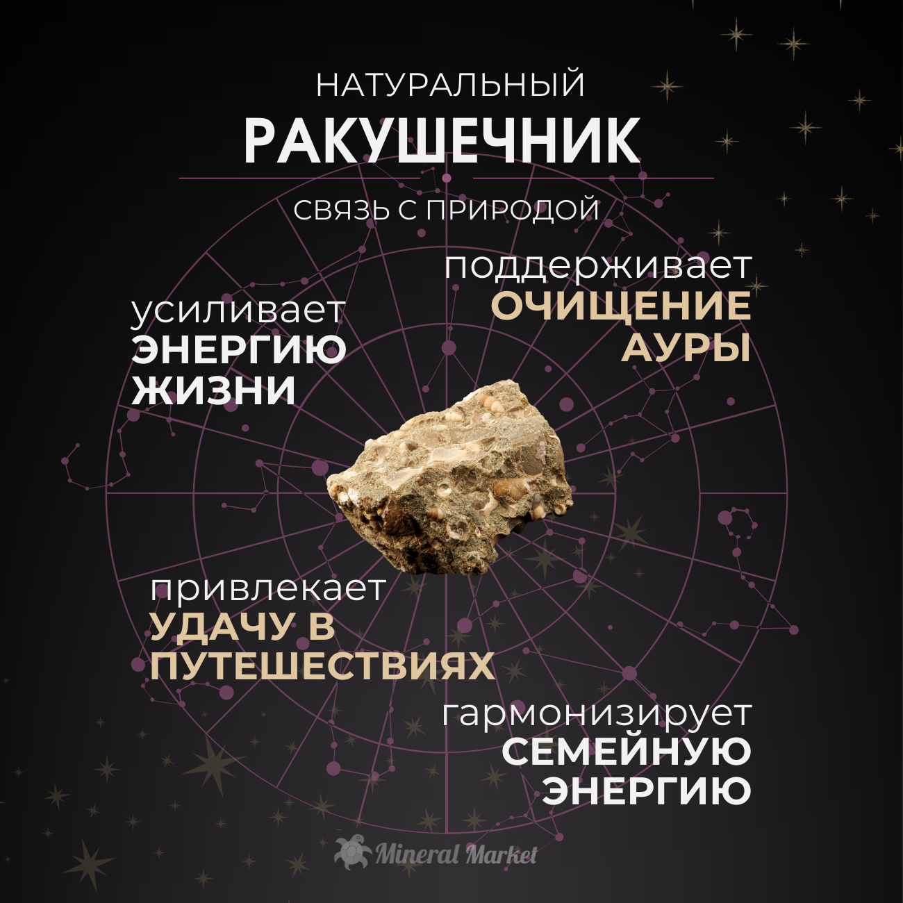 Предмет интерьера ракушечник Россия (монетница) 13 см